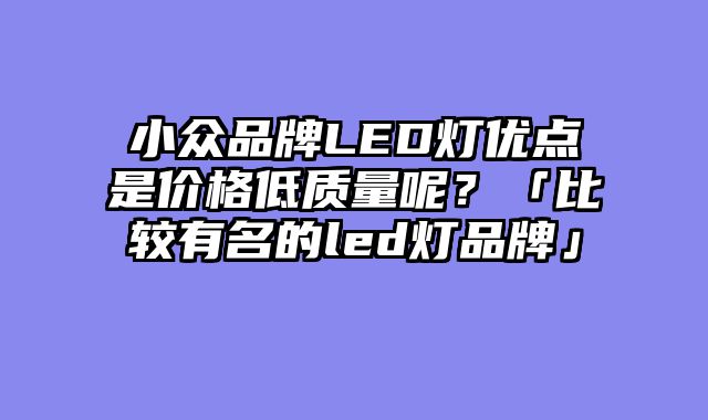 小众品牌LED灯优点是价格低质量呢？「比较有名的led灯品牌」