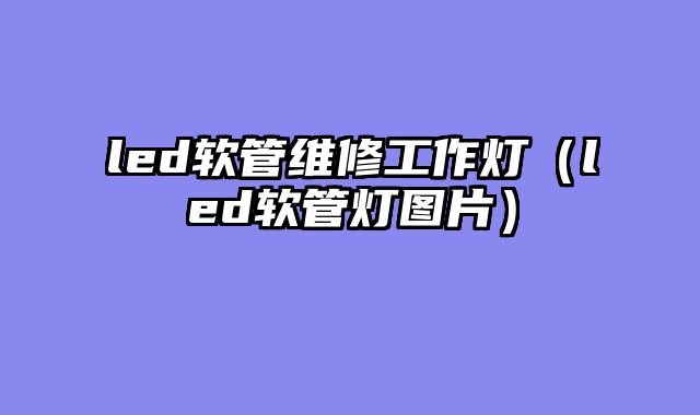 led软管维修工作灯（led软管灯图片）