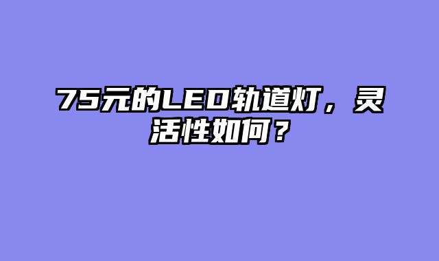 75元的LED轨道灯，灵活性如何？