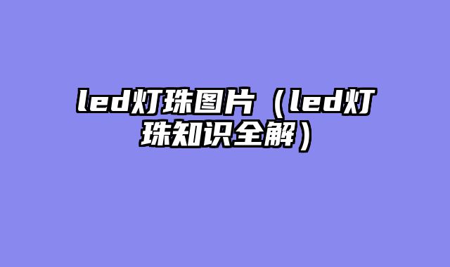led灯珠图片（led灯珠知识全解）