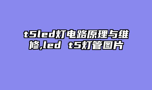 t5led灯电路原理与维修,led t5灯管图片