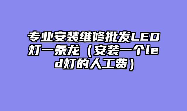 专业安装维修批发LED灯一条龙（安装一个led灯的人工费）