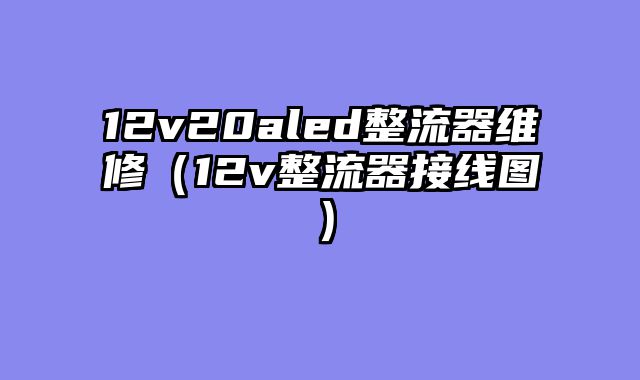 12v20aled整流器维修（12v整流器接线图）