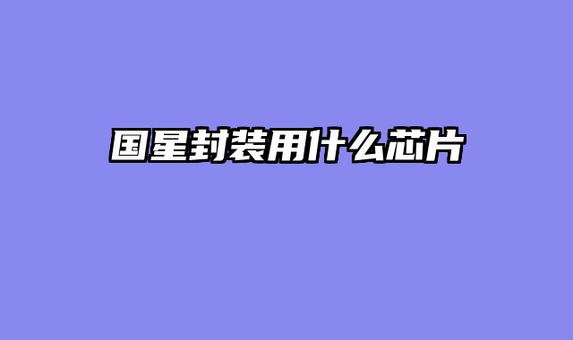 国星封装用什么芯片