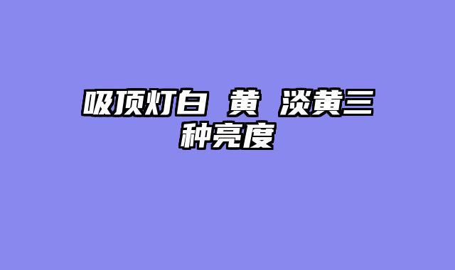 吸顶灯白 黄 淡黄三种亮度