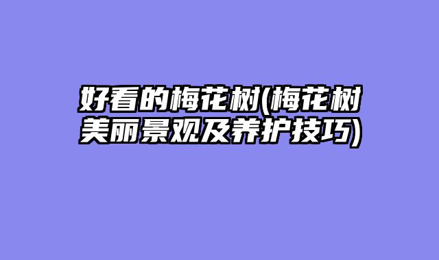 好看的梅花树(梅花树美丽景观及养护技巧)