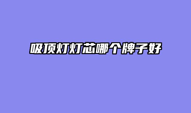 吸顶灯灯芯哪个牌子好