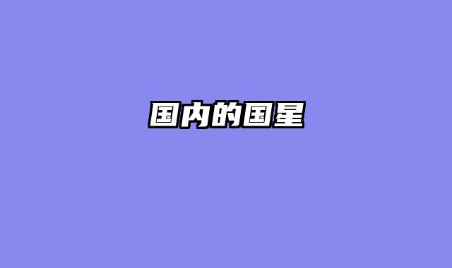 国内的国星