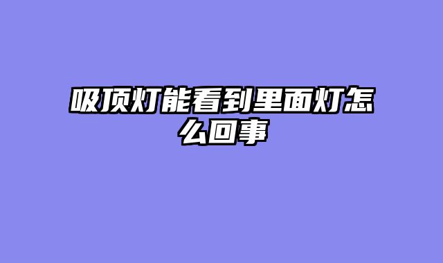 吸顶灯能看到里面灯怎么回事