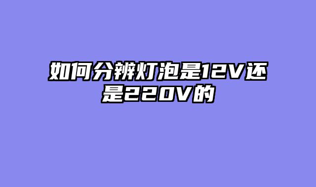 如何分辨灯泡是12V还是220V的