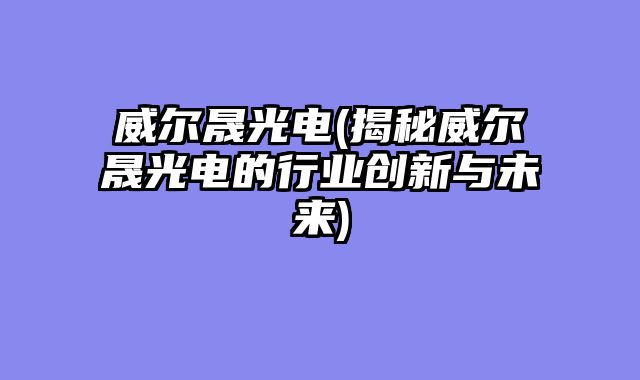 威尔晟光电(揭秘威尔晟光电的行业创新与未来)