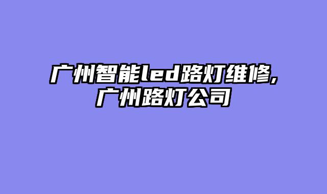 广州智能led路灯维修,广州路灯公司