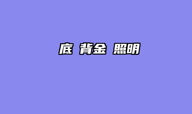 藍底過背金龍照明