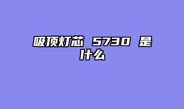 吸顶灯芯 5730 是什么