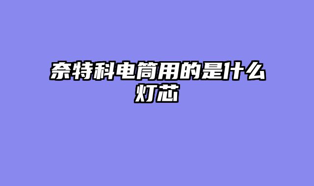 奈特科电筒用的是什么灯芯