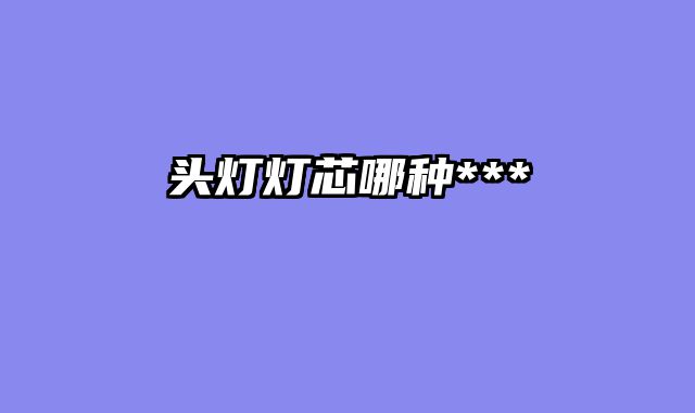头灯灯芯哪种***