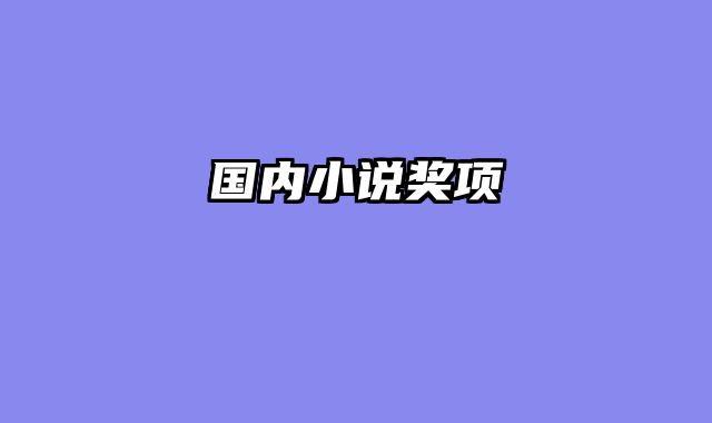国内小说奖项
