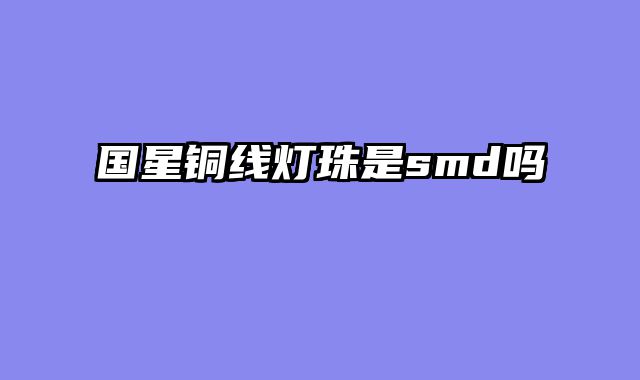 国星铜线灯珠是smd吗