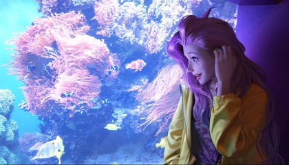 高能手办团皓太郎阵容搭配技巧是什么(高能手办团十郎)